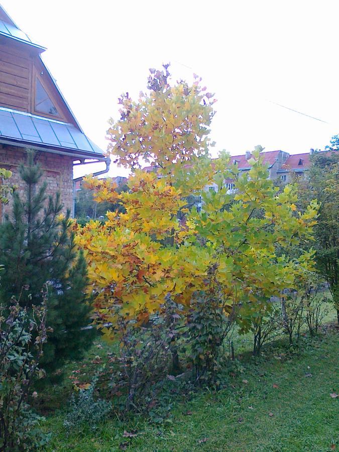 Borgaza Yaremche Exterior foto