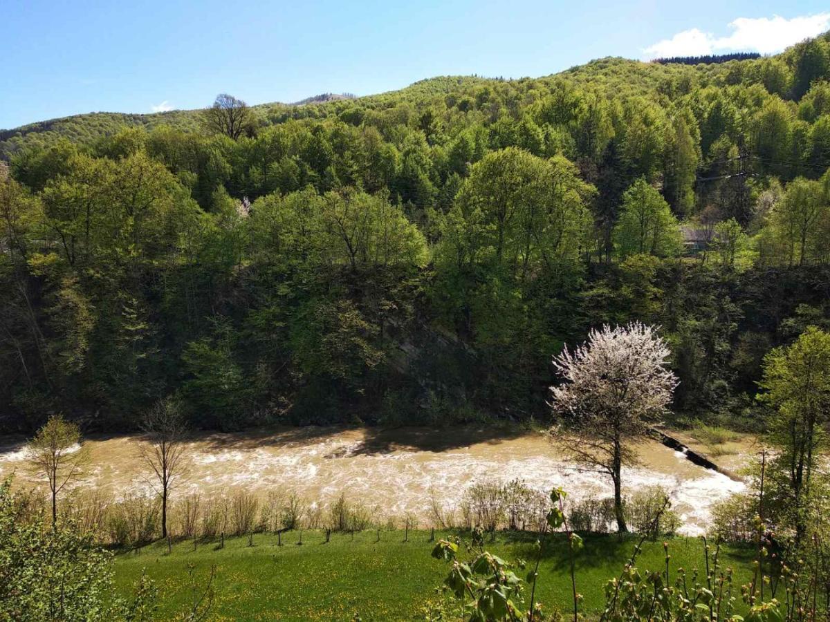 Borgaza Yaremche Exterior foto